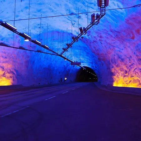 Отель Laerdal 3*