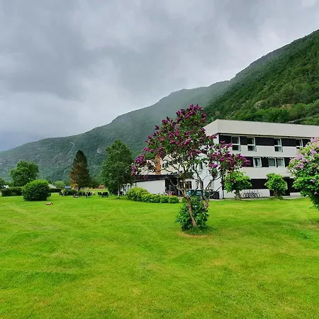 Hotel Laerdal